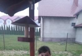  (photo)