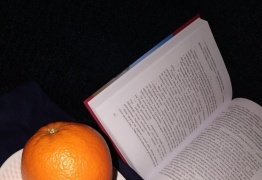  (photo)