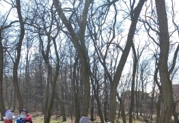  (photo)