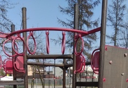 (photo)