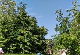  (photo)