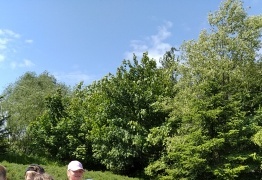  (photo)
