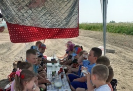  (photo)