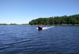  (photo)
