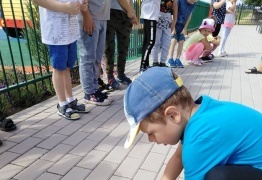  (photo)