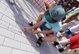  (photo)