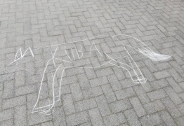 (photo)
