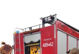  (photo)