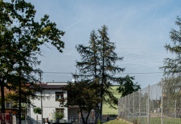  (photo)