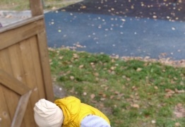  (photo)