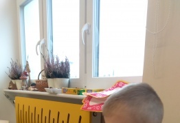  (photo)