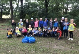 6 (photo)