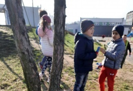  (photo)
