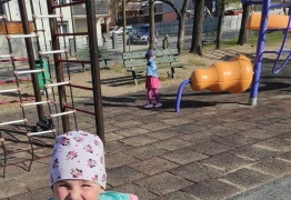  (photo)