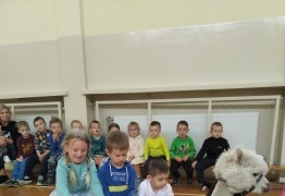  (photo)