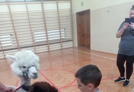  (photo)