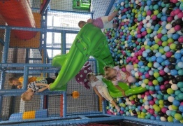  (photo)