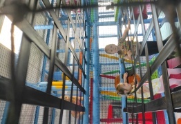  (photo)