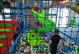  (photo)