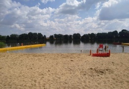  (photo)