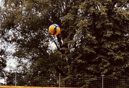  (photo)