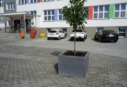  (photo)