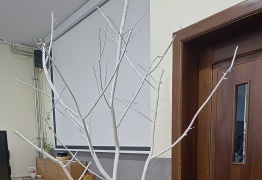  (photo)