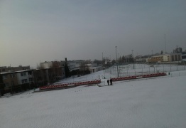  (photo)