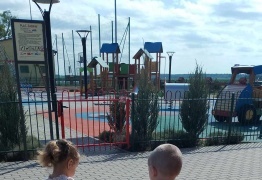  (photo)