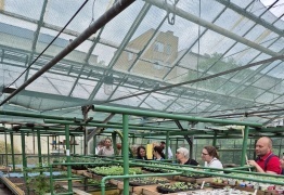  (photo)