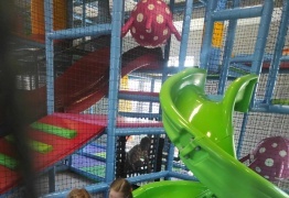  (photo)
