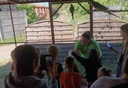  (photo)