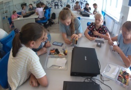  (photo)