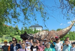  (photo)