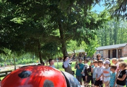  (photo)