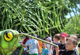  (photo)
