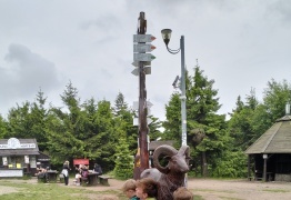  (photo)