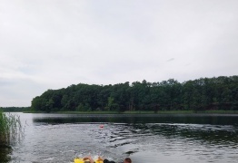  (photo)