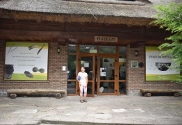  (photo)