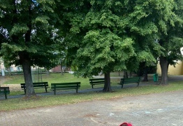  (photo)