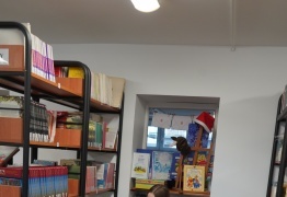  (photo)