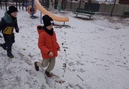  (photo)
