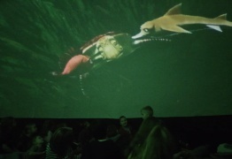  (photo)