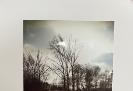  (photo)