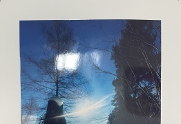  (photo)