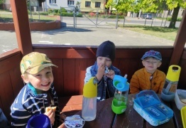  (photo)