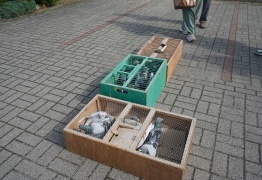  (photo)