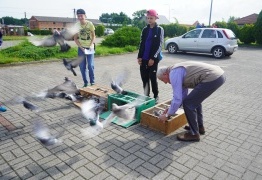  (photo)