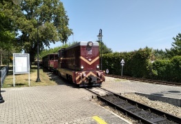  (photo)