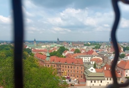  (photo)